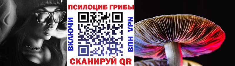 Галлюциногенные грибы Psilocybe  Купить  Старая Русса 